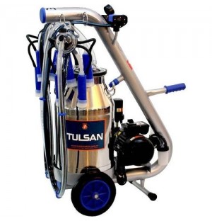 Tempo Tip Çift Sağım(İnek)